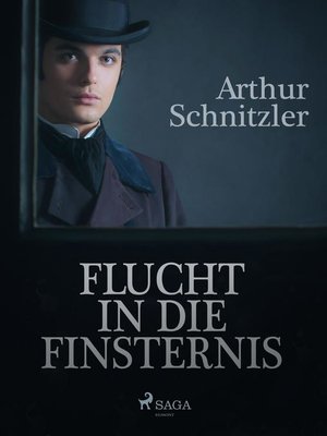 cover image of Flucht in die Finsternis
